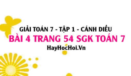 Giải bài 4 trang 54 Toán 7 Tập 1 SGK Cánh Diều